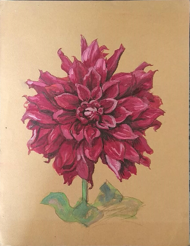 Dahlia