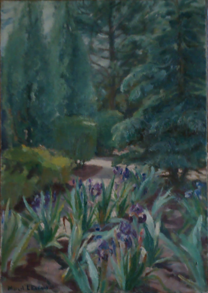 jardin aux iris