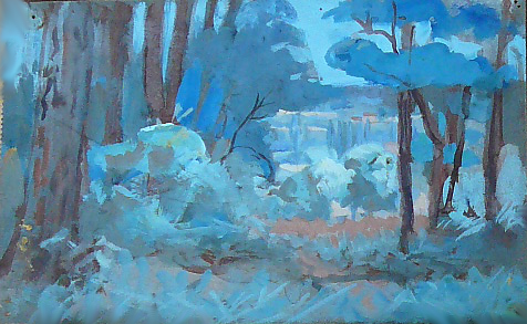 paysage