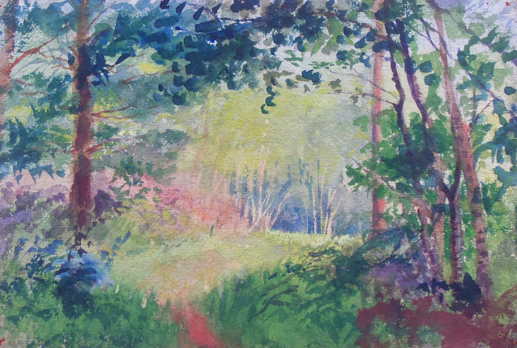 Clairière ensoleillée