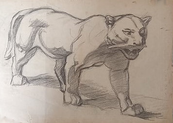 felin-dessin.jpg